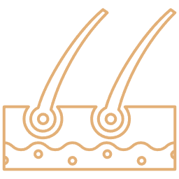 Capillary Mesotherapy